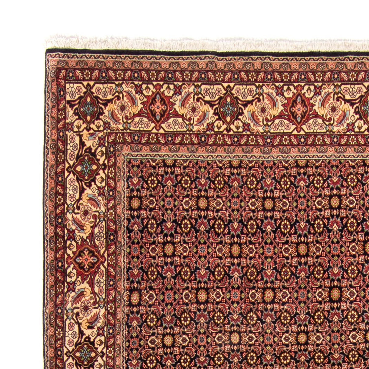 Bidjar Rug 254x343cm - Persian Rugs