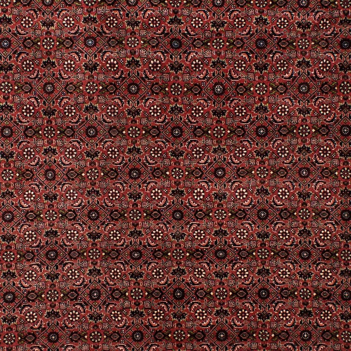 Perser Rug - Bidjar - 295 x 196 cm - dark red