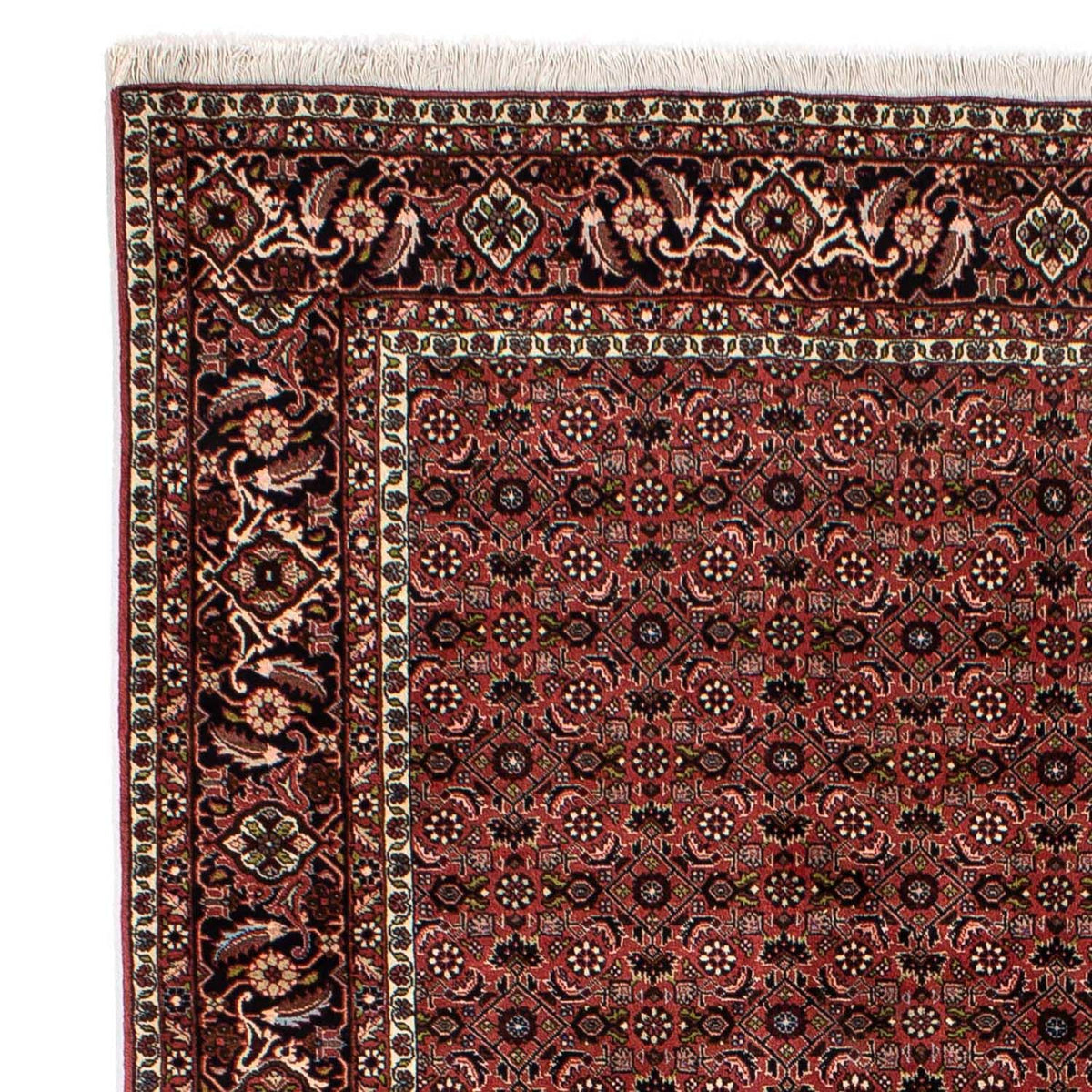 Bidjar Rug 196x295cm - Persian Rugs
