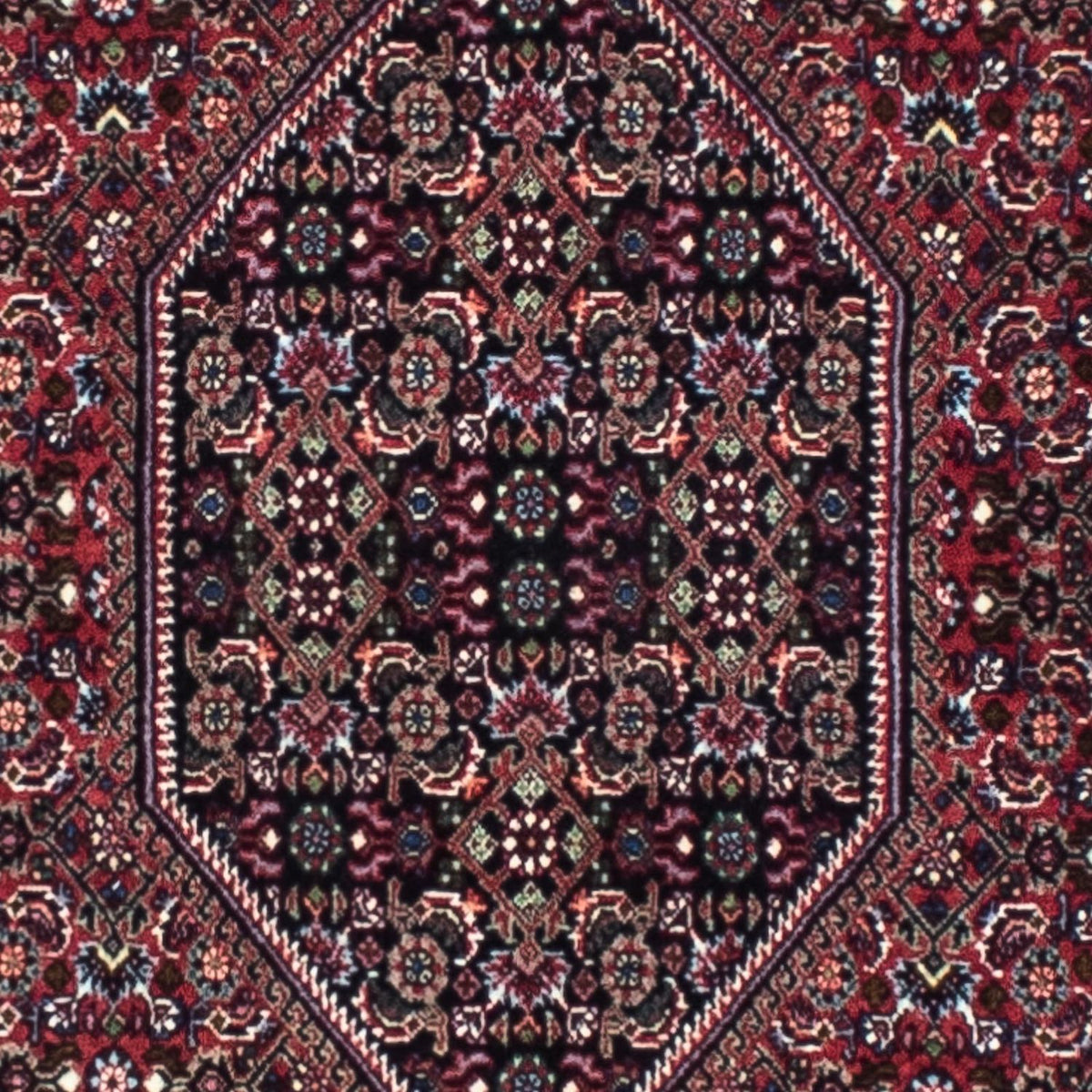 Runner Perser Rug - Bidjar - 253 x 72 cm - rust