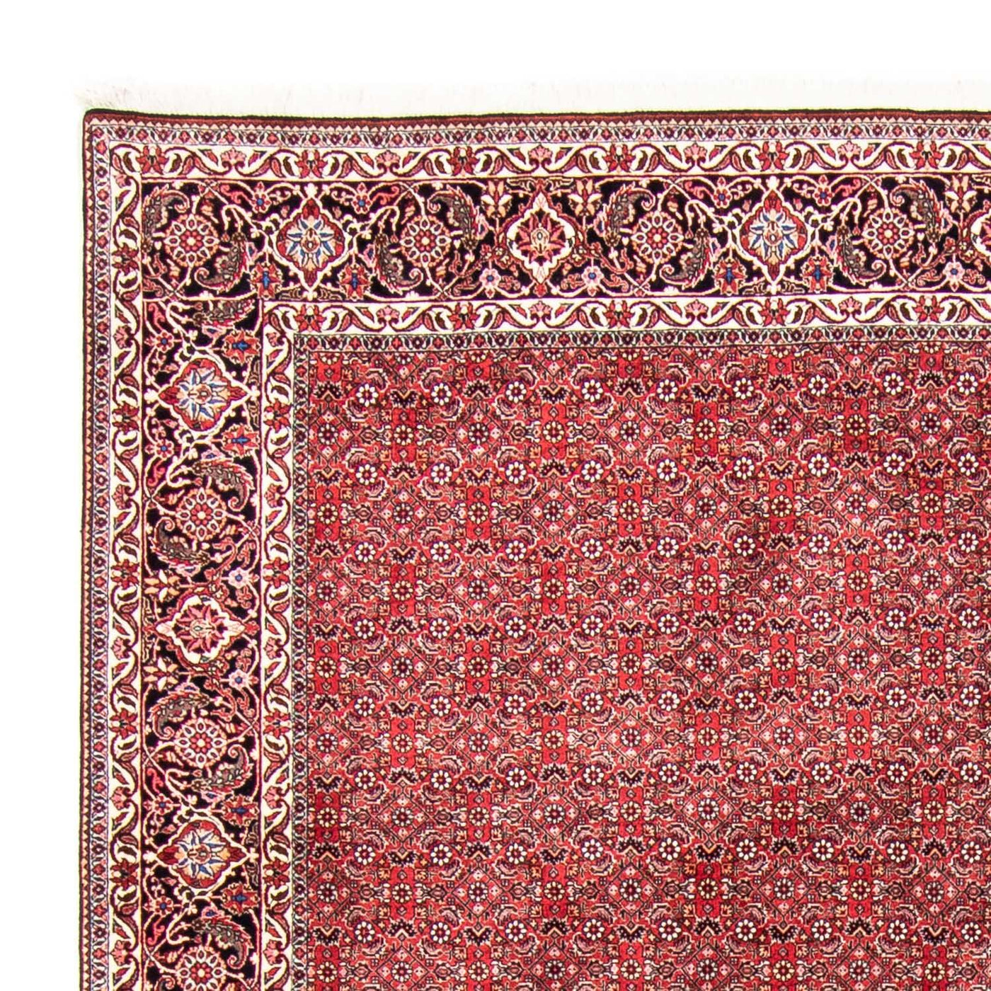 Bidjar Rug 340x255cm - Persian Rugs