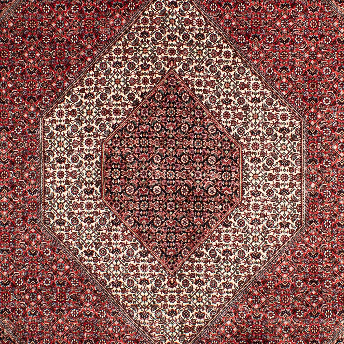 Perser Rug - Bidjar - 302 x 204 cm - light red
