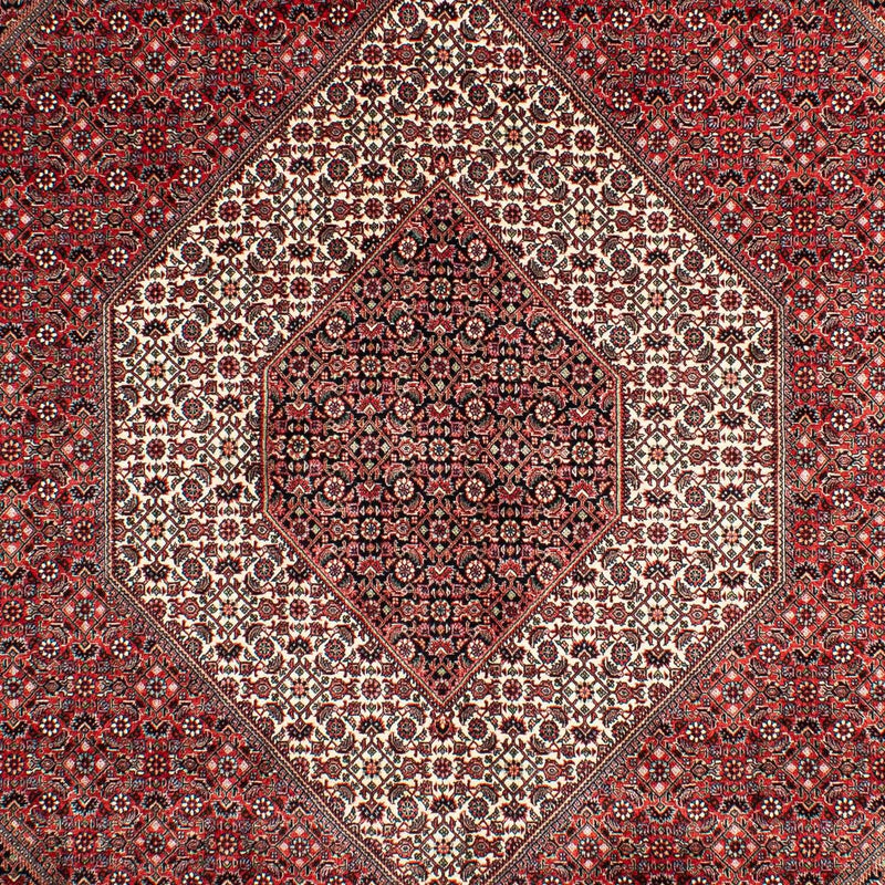 Perser Rug - Bidjar - 302 x 204 cm - light red