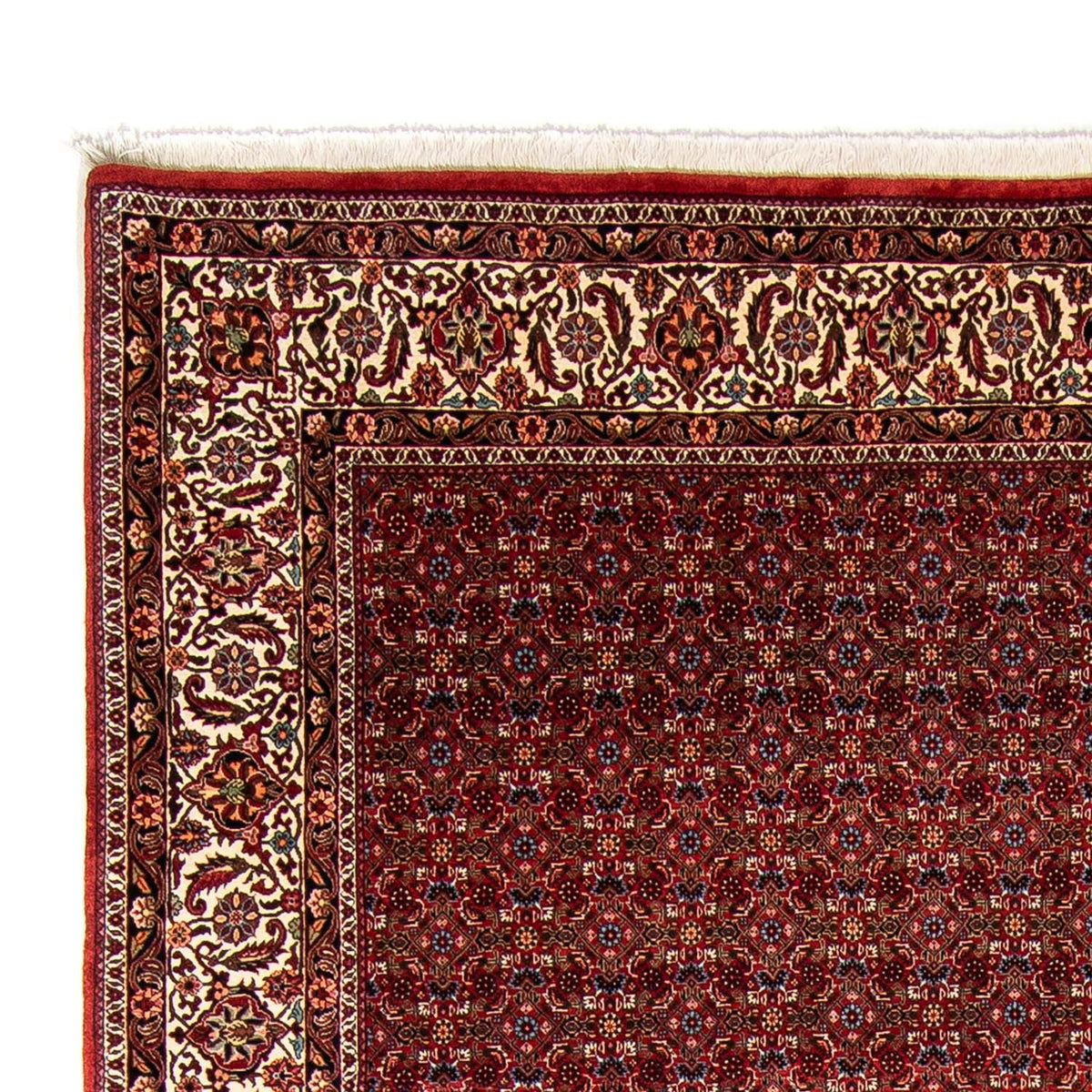 Perser Rug - Bidjar - 350 x 250 cm - dark red