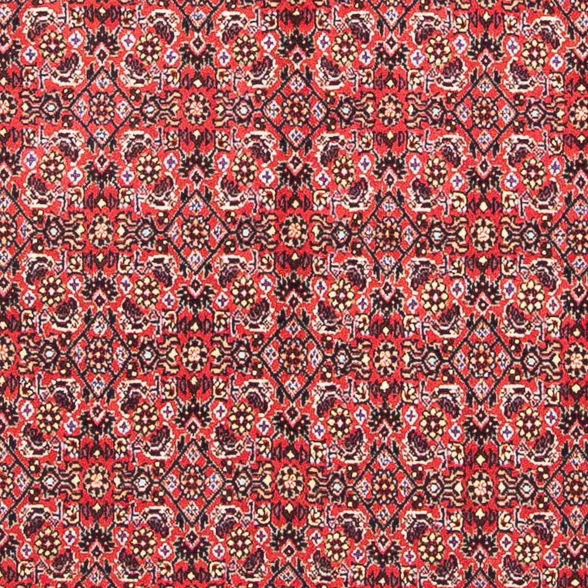 Perser Rug - Bidjar square  - 104 x 98 cm - red