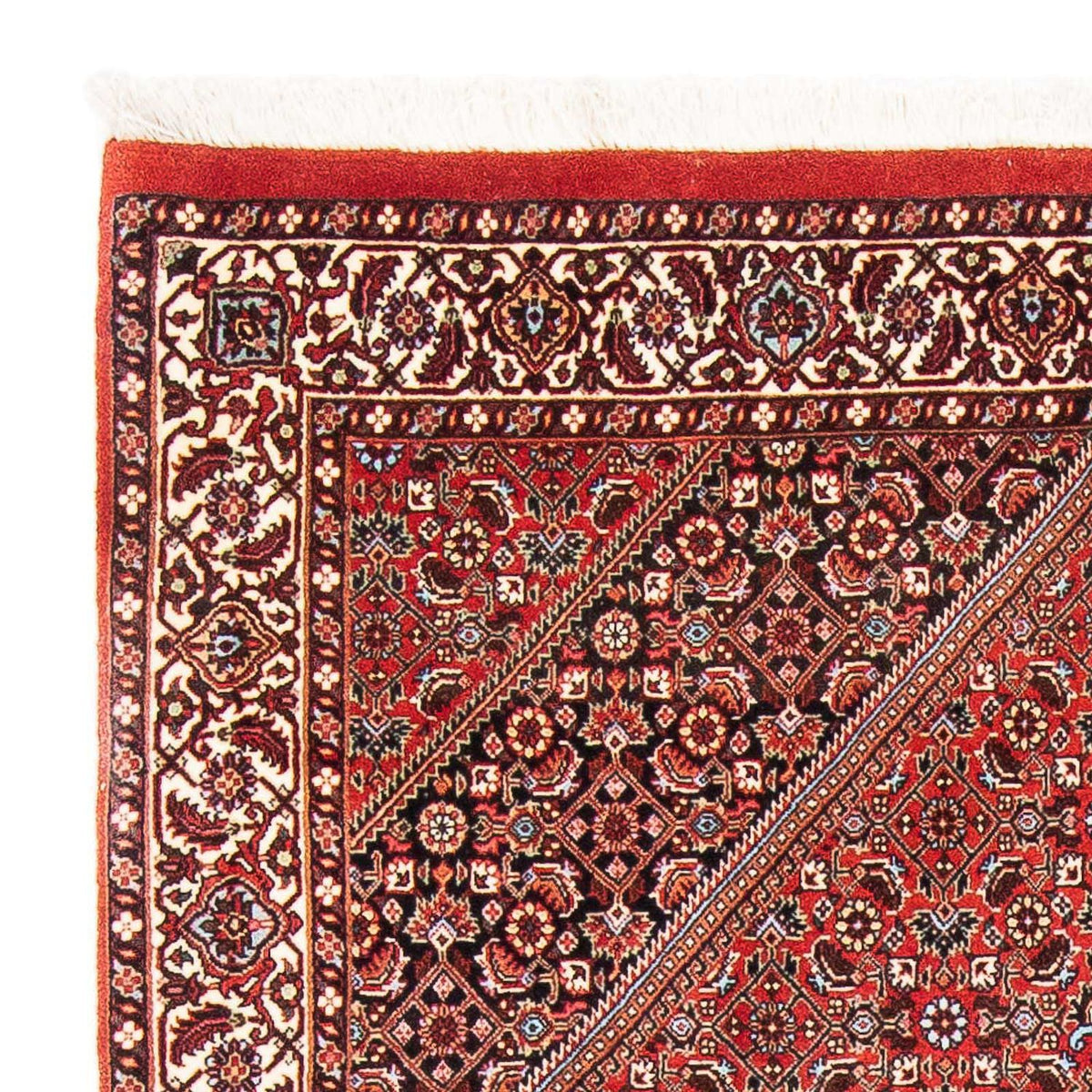 Perser Rug - Bidjar - 186 x 110 cm - red