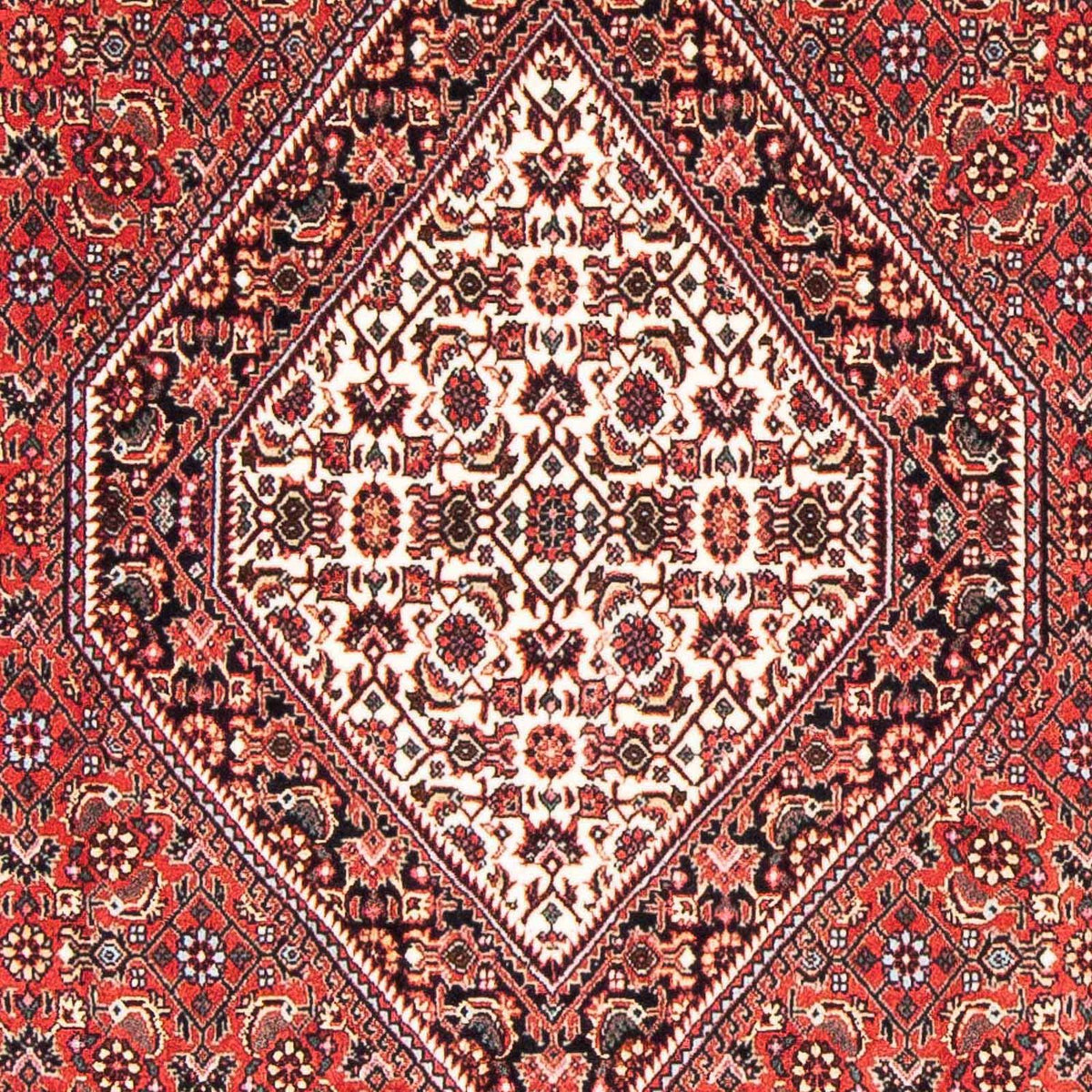 Perser Rug - Bidjar - 175 x 108 cm - red