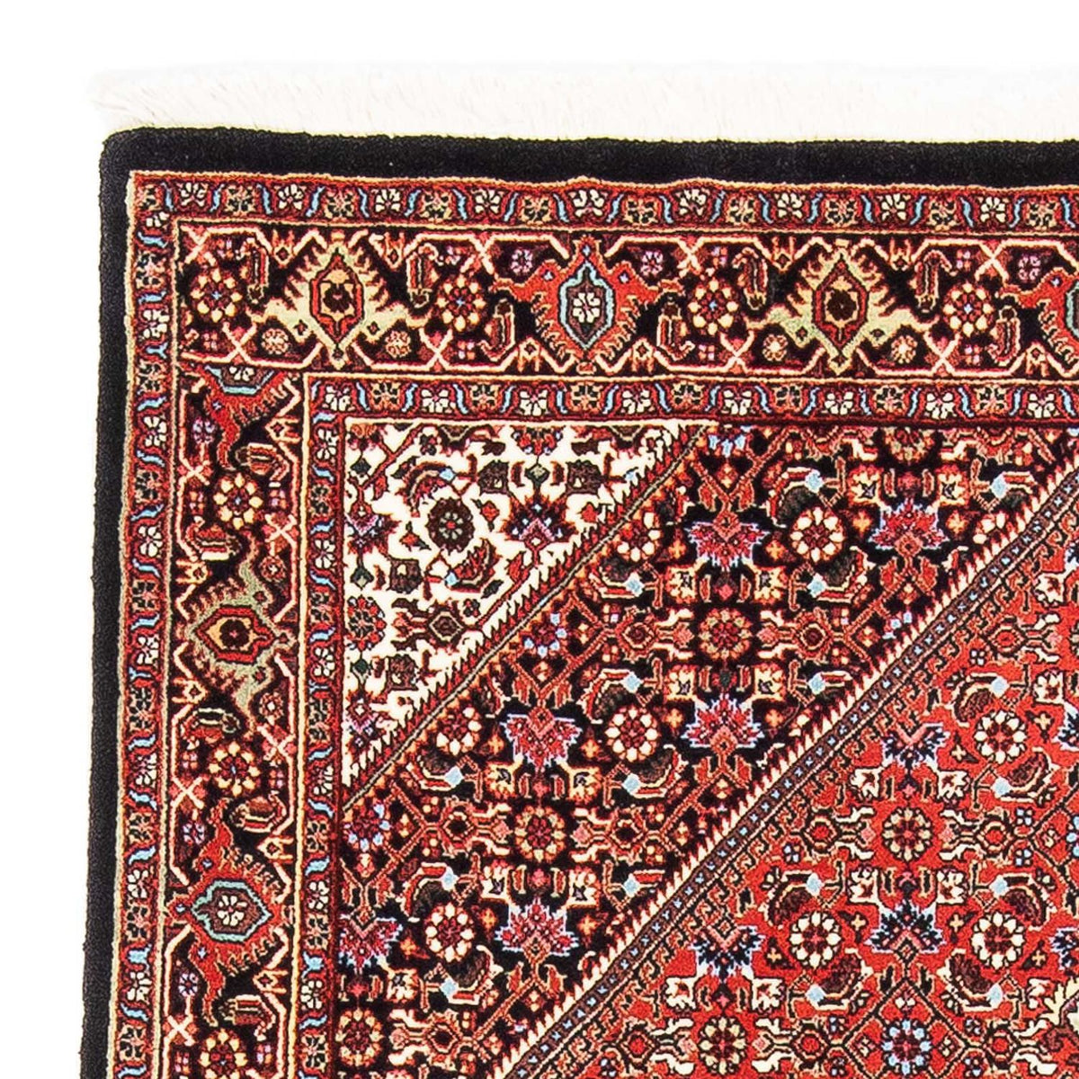 Bidjar Rug 110x187cm - Persian Rugs