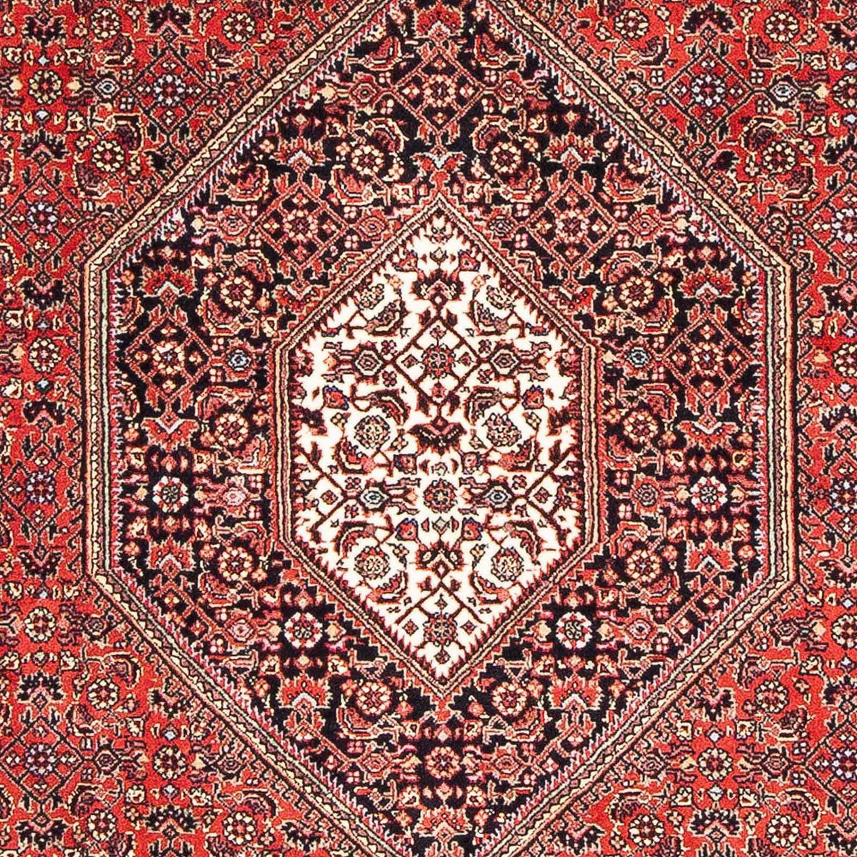 Perser Rug - Bidjar - 170 x 110 cm - red