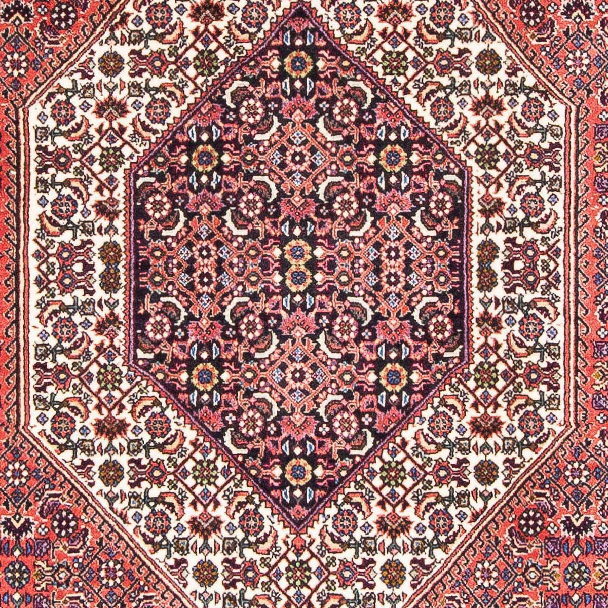 Perser Rug - Bidjar - 182 x 112 cm - light red