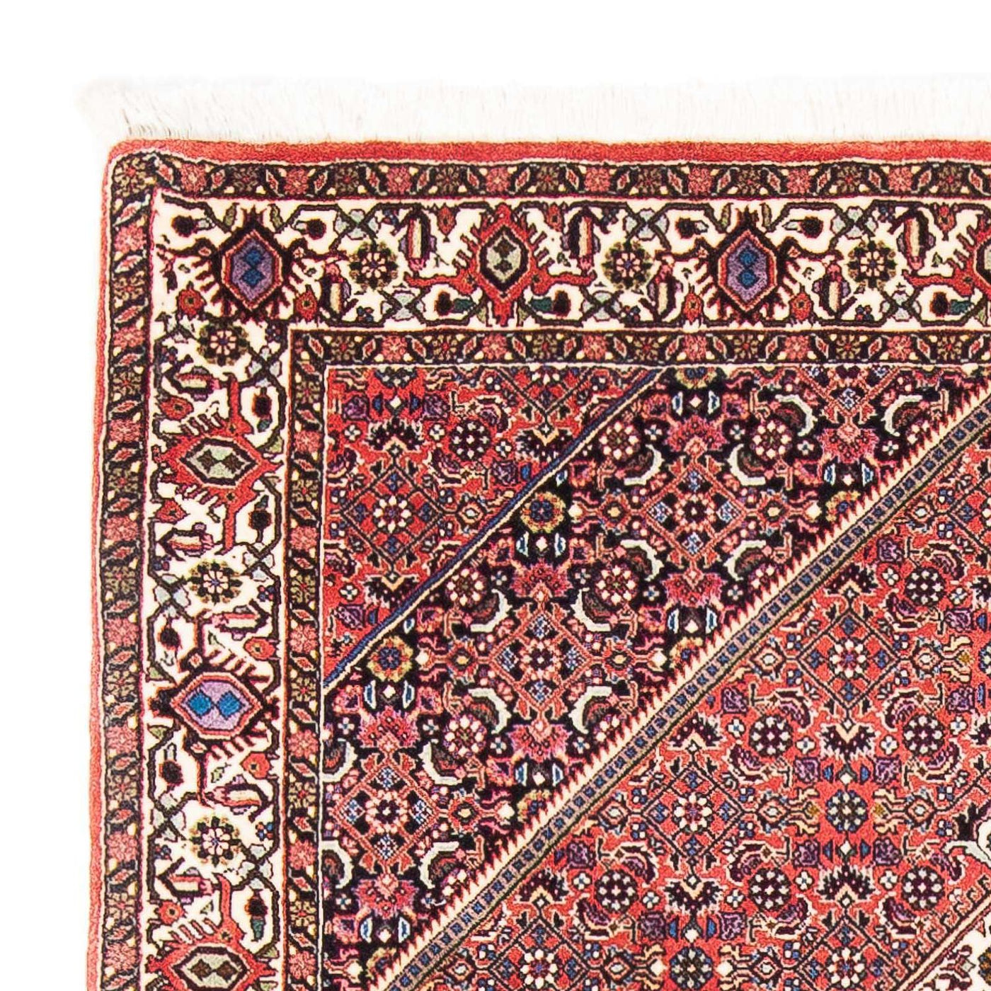 Bidjar Rug 182x112cm - Persian Rugs