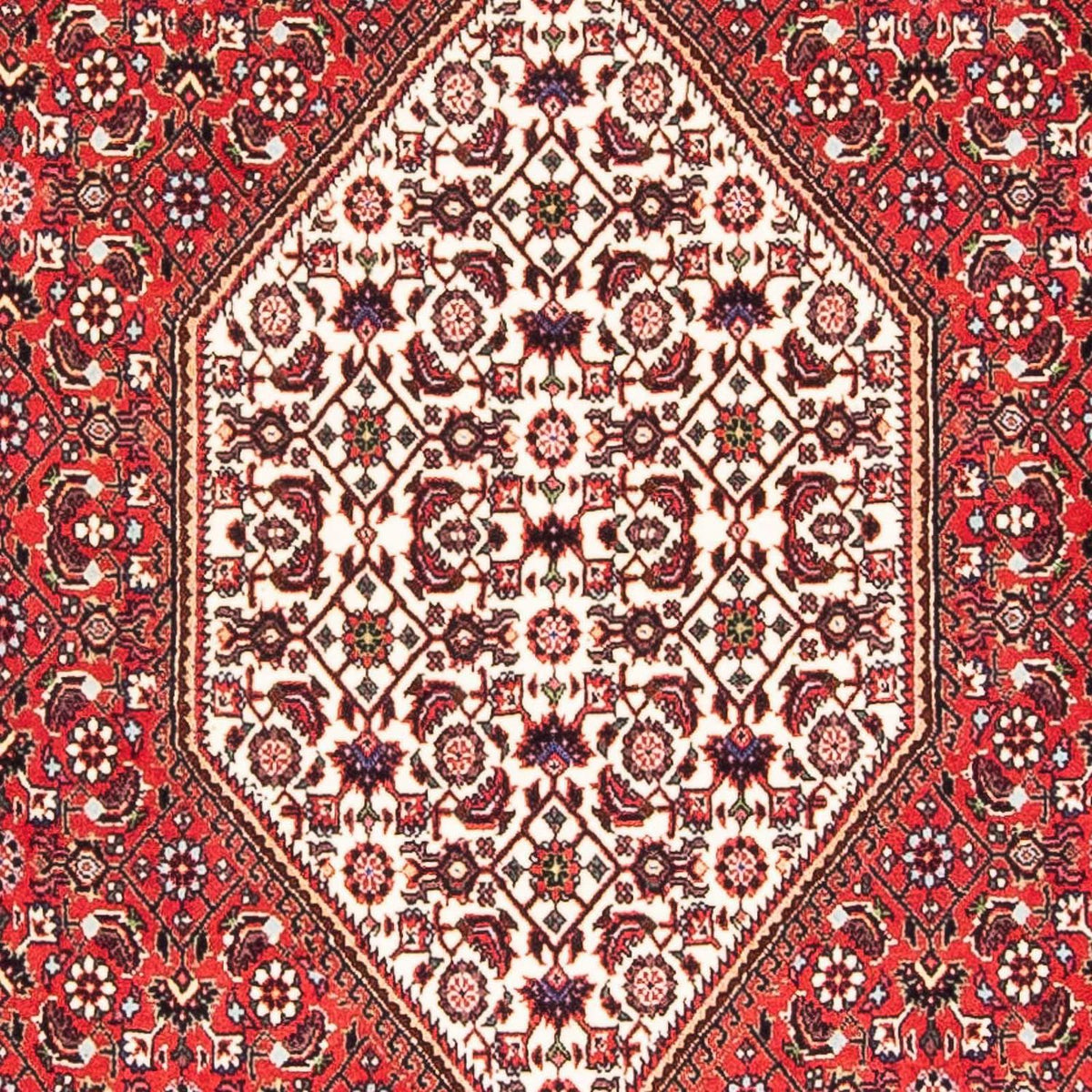 Perser Rug - Bidjar - 175 x 110 cm - red
