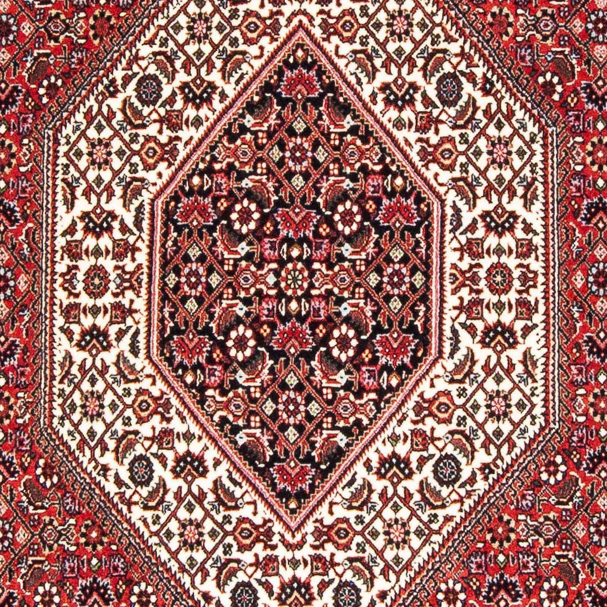 Perser Rug - Bidjar - 177 x 110 cm - red