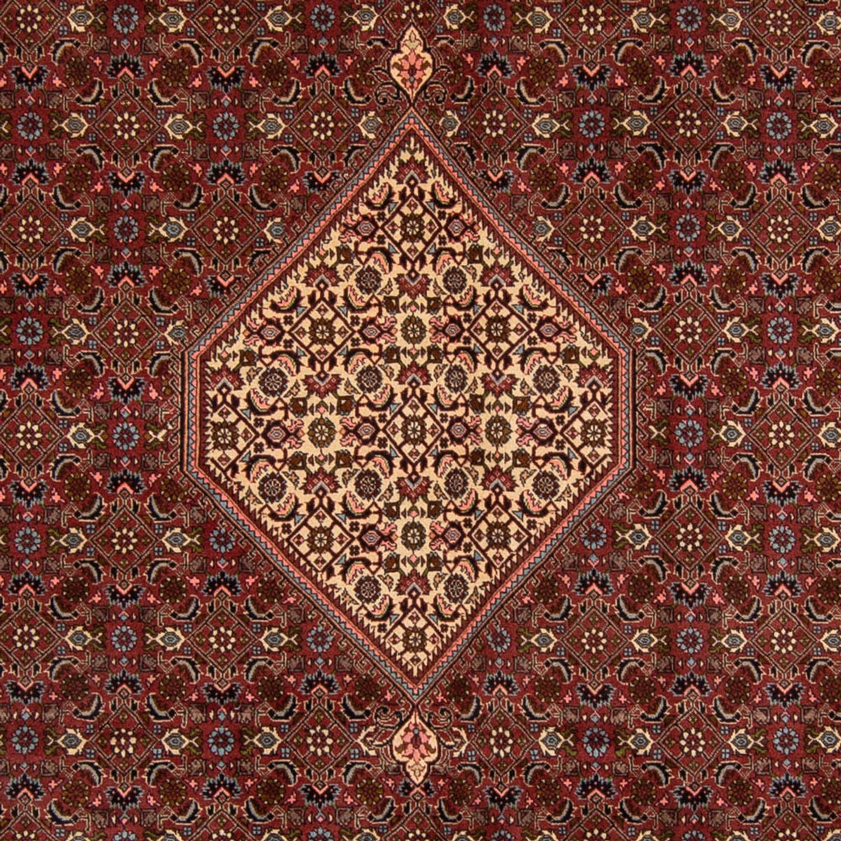 Perser Rug - Bidjar - 356 x 243 cm - brown