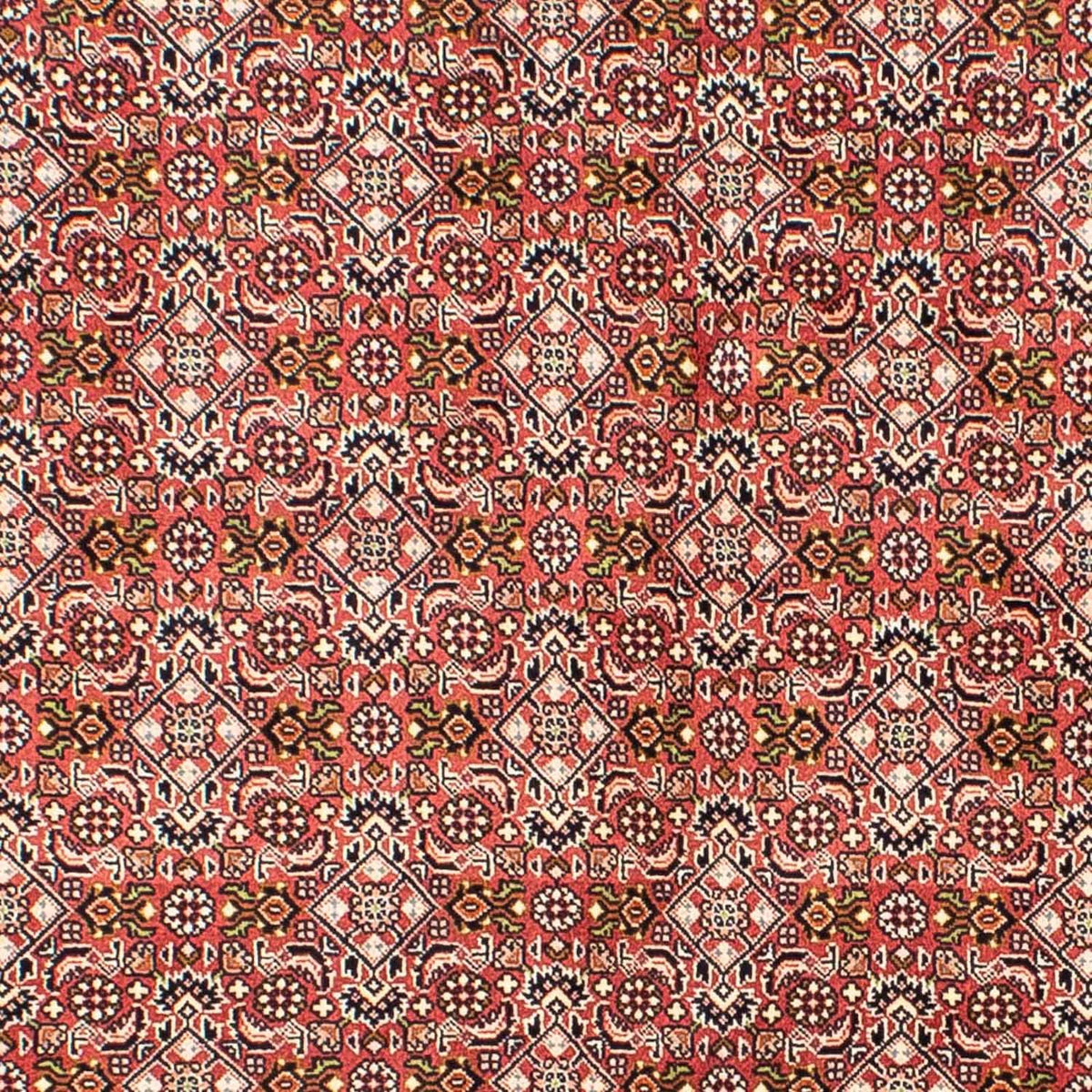 Perser Rug - Bidjar - 215 x 136 cm - light red