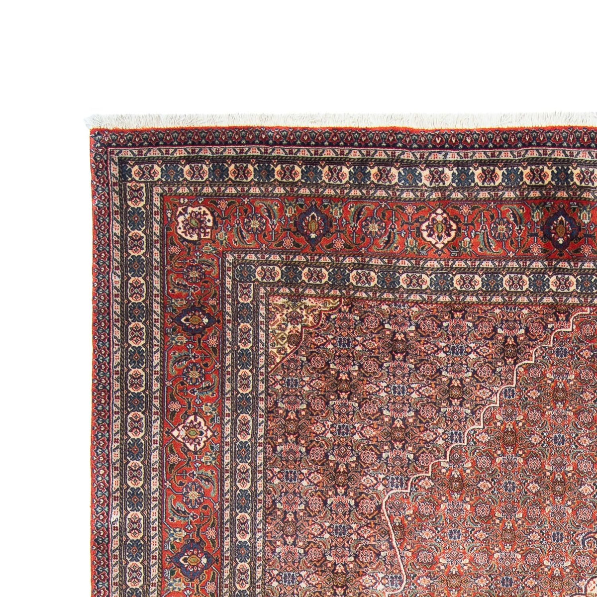 Perser Rug - Nomadic - 294 x 200 cm - rust