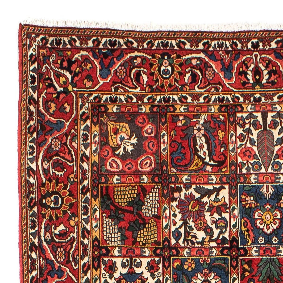Bakhtiari Rug 161x246cm - Persian Rugs