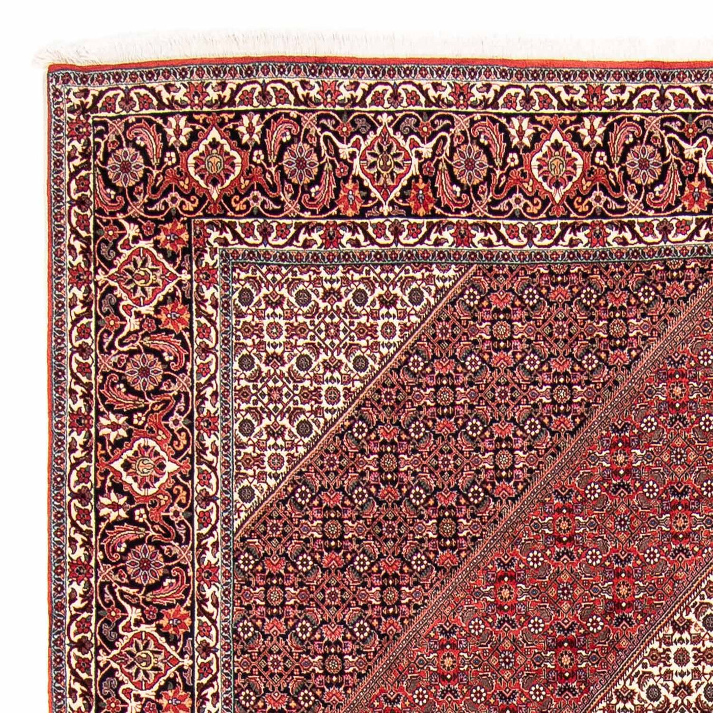 Bidjar Teppich 297x250cm - Perserteppich