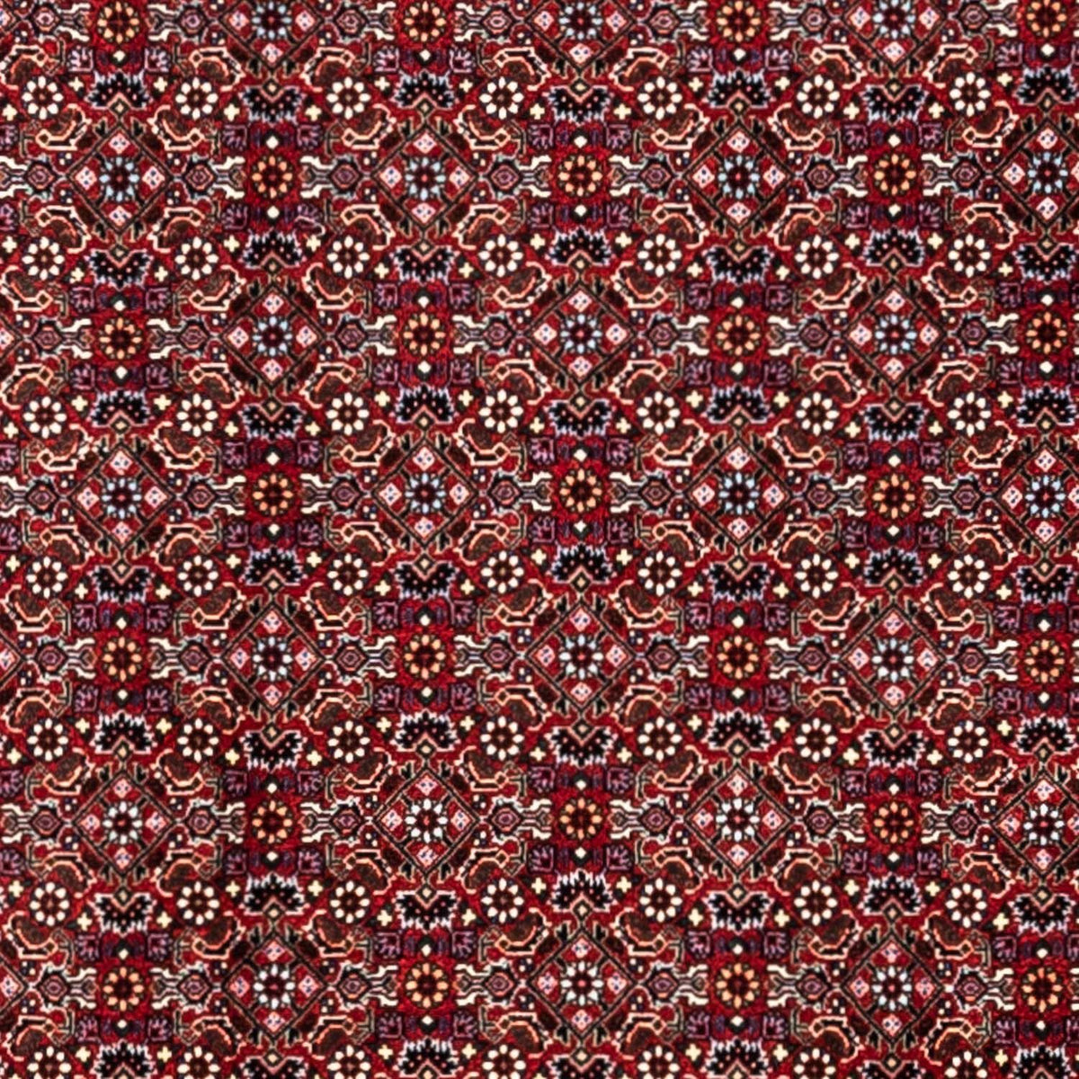 Perser Rug - Bidjar - 340 x 252 cm - red