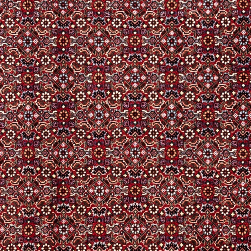 Perser Rug - Bidjar - 340 x 252 cm - red
