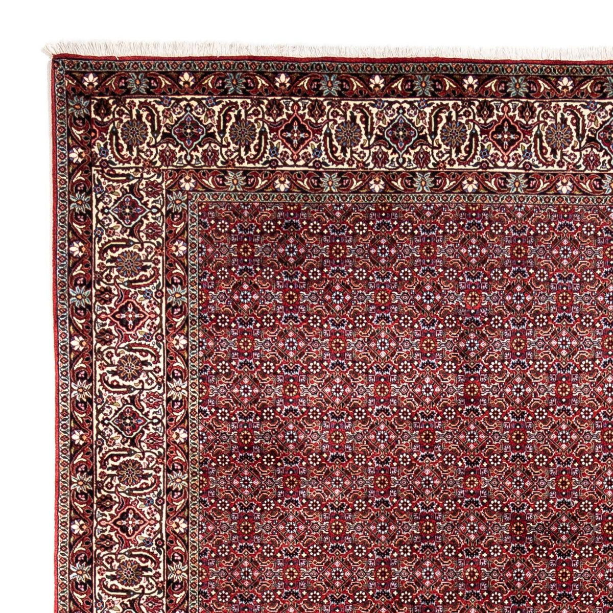 Perser Rug - Bidjar - 340 x 252 cm - red