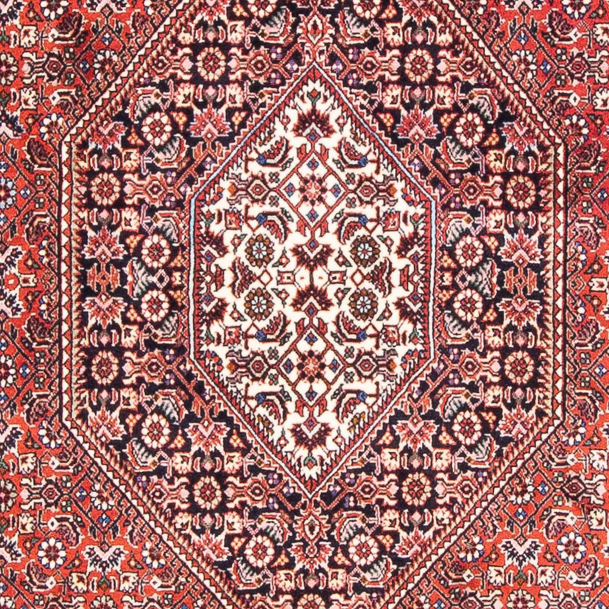 Perser Rug - Bidjar - 170 x 110 cm - light red