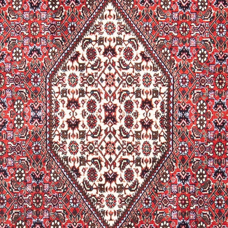 Bidjar Rug 106x169cm - Persian Rugs