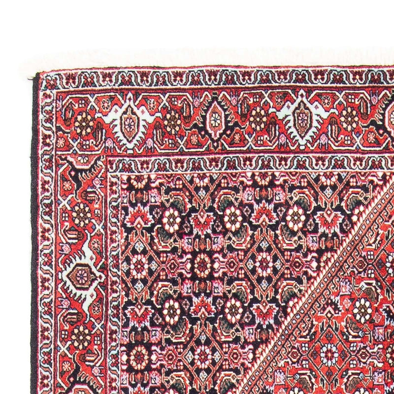 Bidjar Rug 106x169cm - Persian Rugs