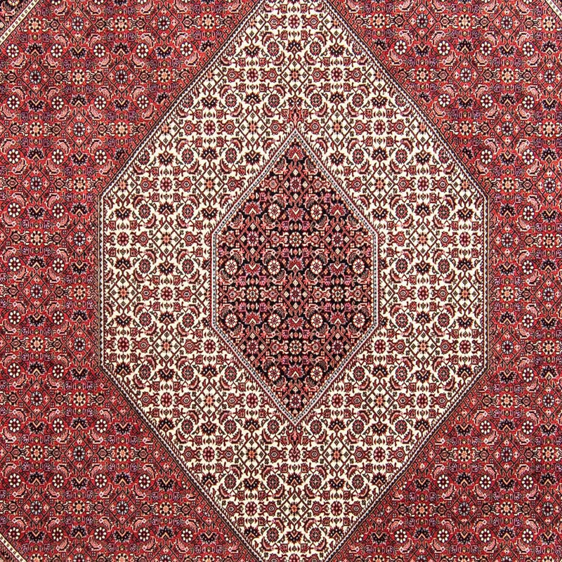 Perser Rug - Bidjar - 295 x 253 cm - dark red