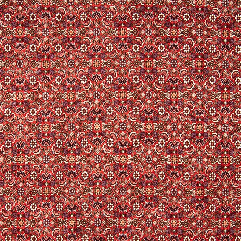 Perser Rug - Bidjar - 290 x 250 cm - red