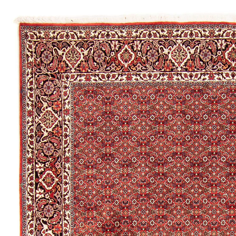 Perser Rug - Bidjar - 290 x 250 cm - red