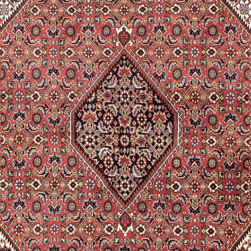 Perser Rug - Bidjar - 250 x 173 cm - light red