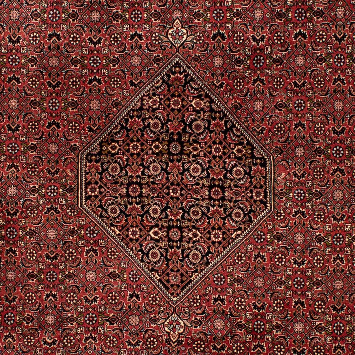 Perser Rug - Bidjar - 300 x 202 cm - brown