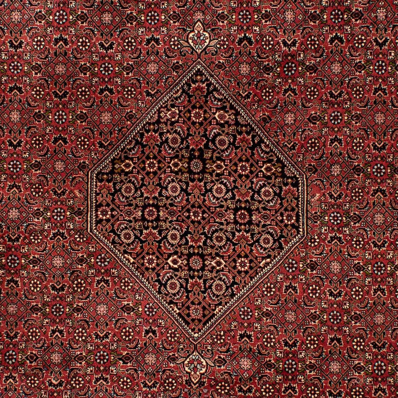 Perser Rug - Bidjar - 300 x 202 cm - brown