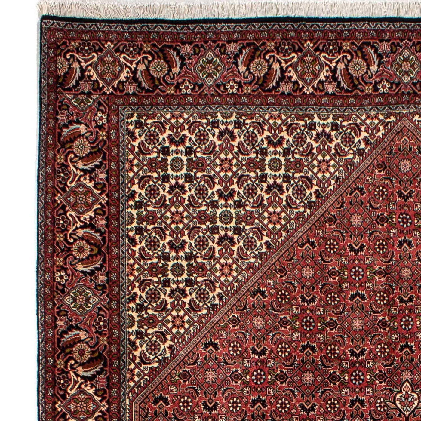 Bidjar Rug 300x202cm - Persian Rugs