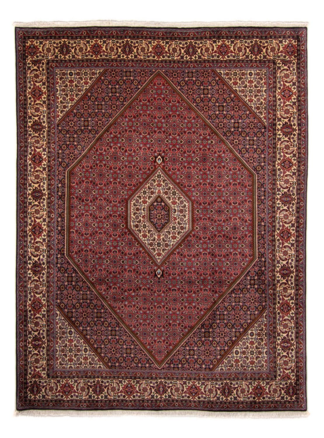 Perser Rug - Bidjar - 338 x 250 cm - brown