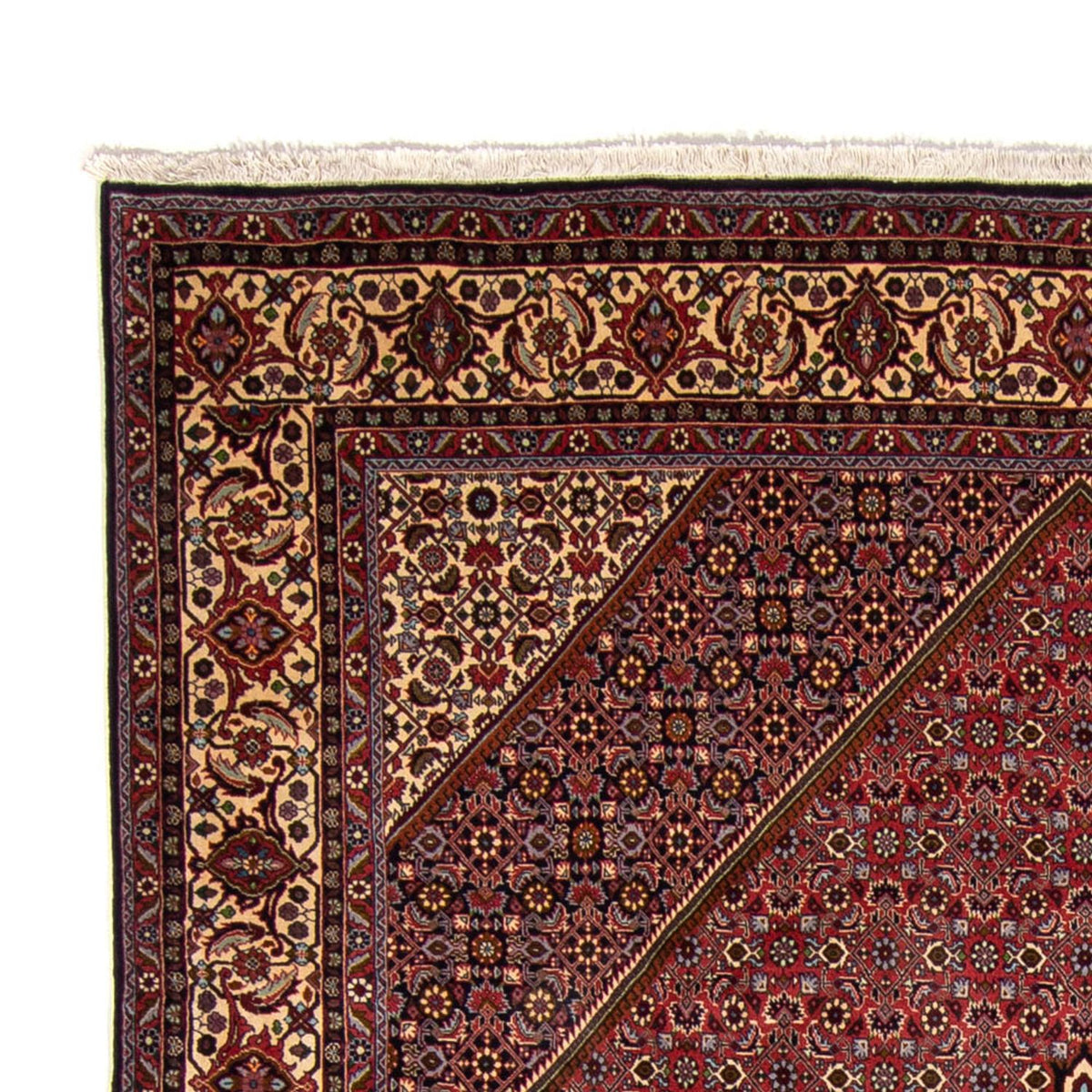 Bidjar Rug 250x338cm - Persian Rugs