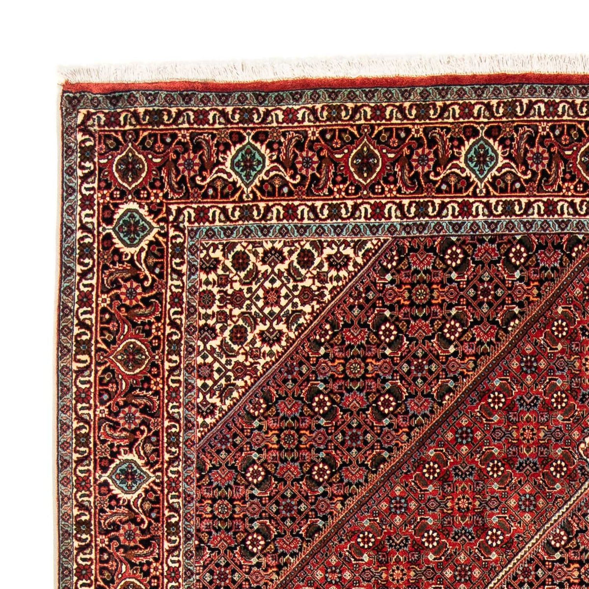 Bidjar Rug 169x233cm - Persian Rugs