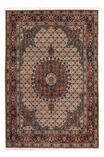 Moud Rug 170x238cm - Persian Rugs