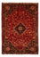 Perser Rug - Nomadic - 288 x 203 cm - dark red