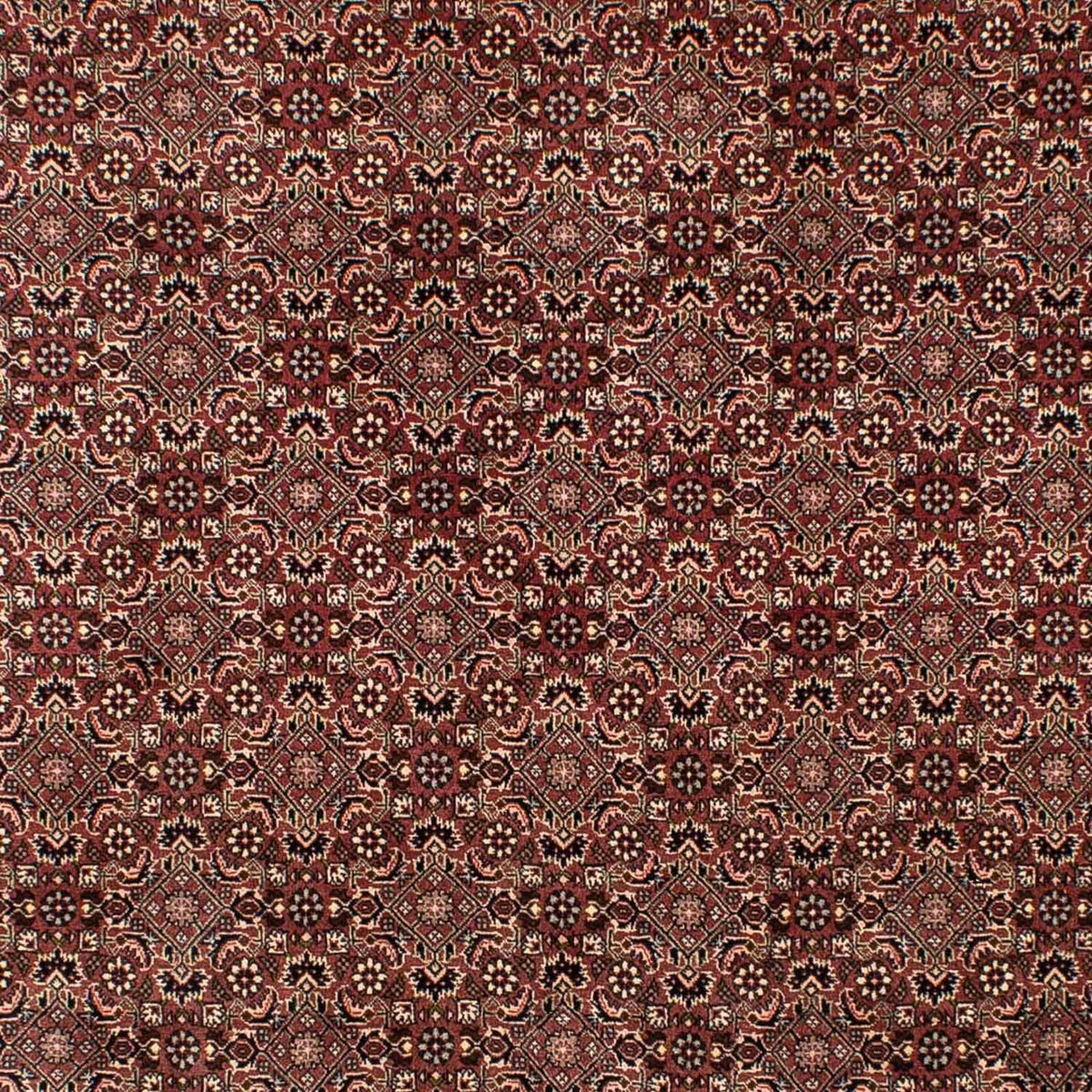 Perser Rug - Nomadic - 307 x 192 cm - brown