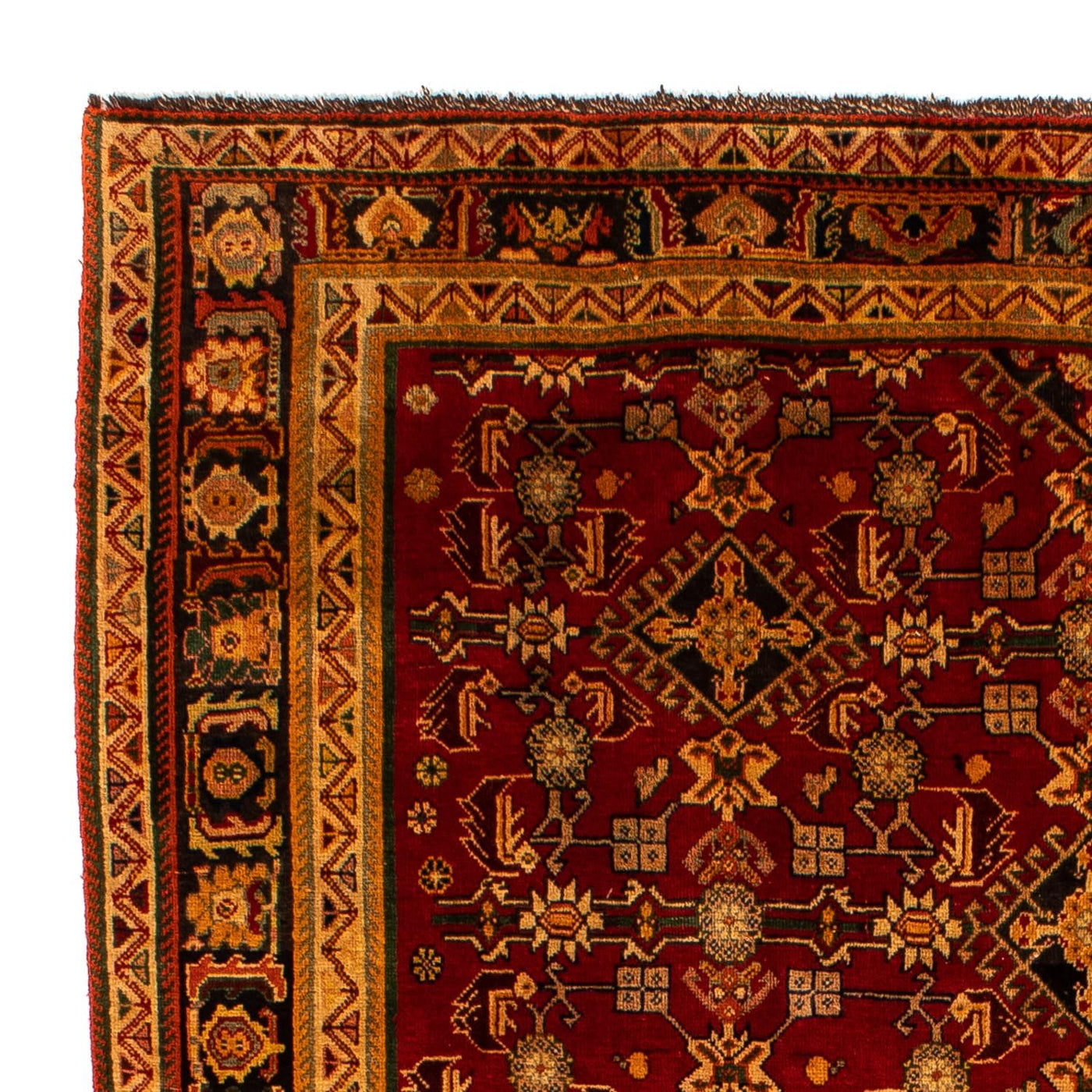Perser Rug - Nomadic - 296 x 190 cm - dark red