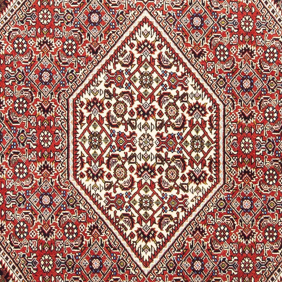 Perser Rug - Bidjar - 176 x 113 cm - light red