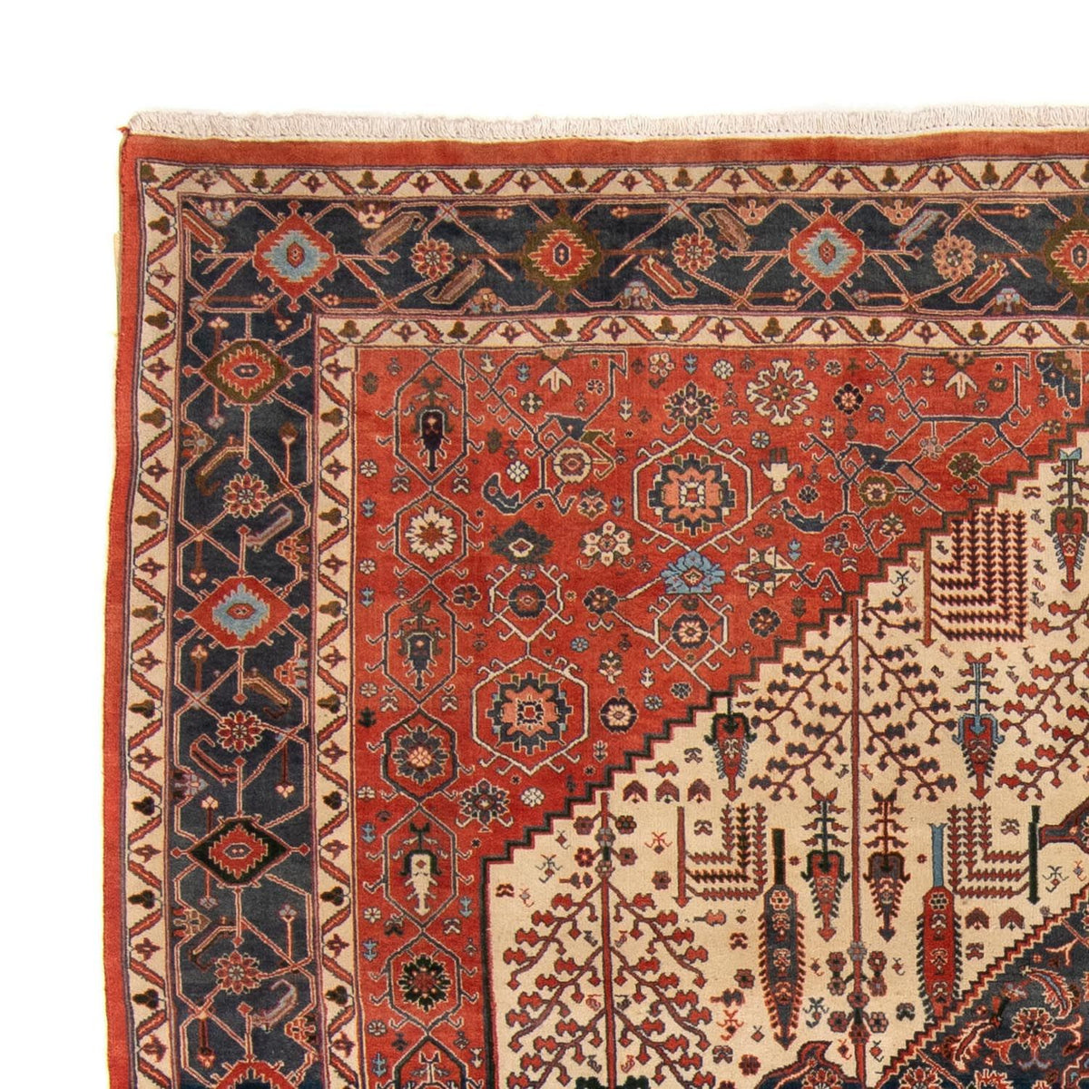 Kashkuli Rug 230x258cm - Persian Rugs