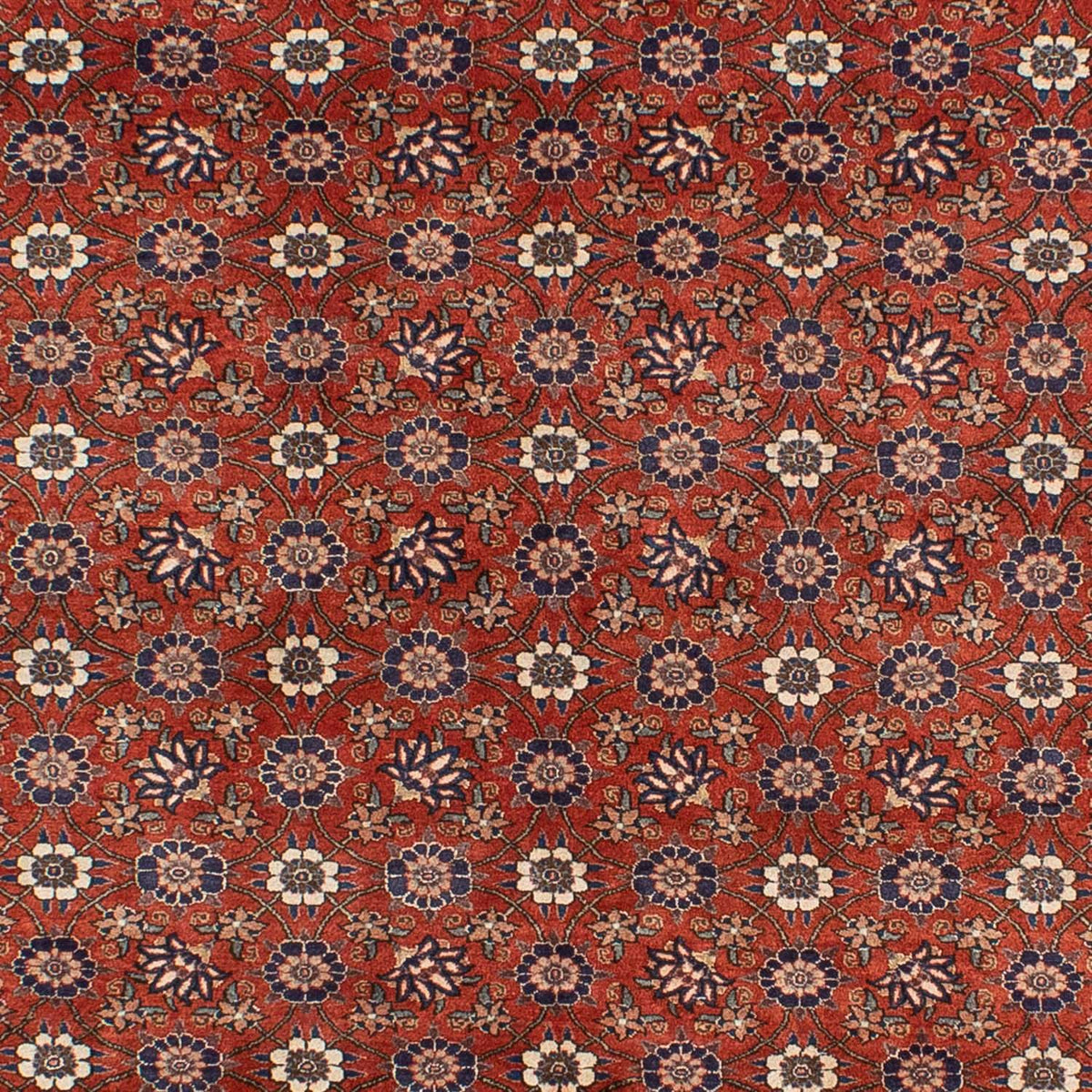 Perser Rug - Nomadic - 301 x 223 cm - red
