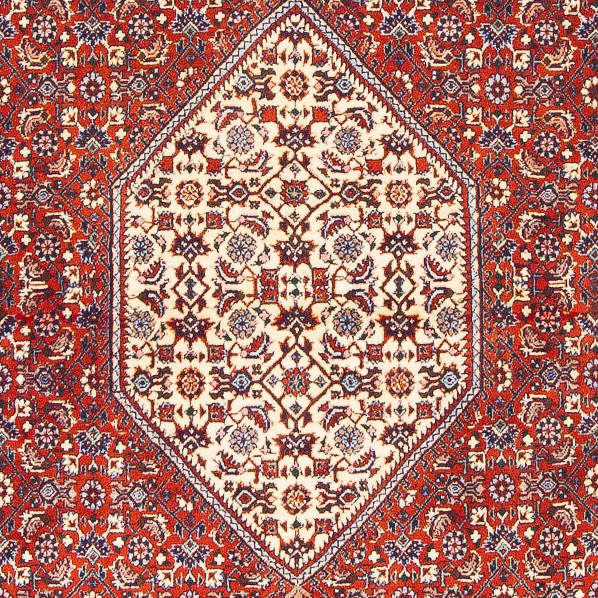 Perser Rug - Bidjar - 168 x 110 cm - red