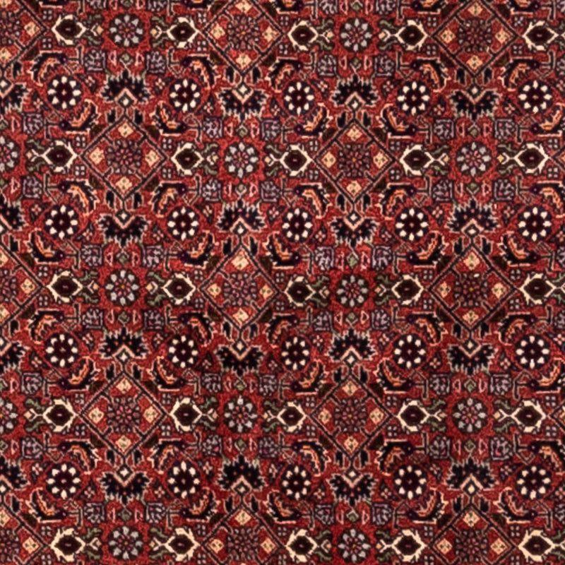 Perser Rug - Bidjar - 293 x 200 cm - red