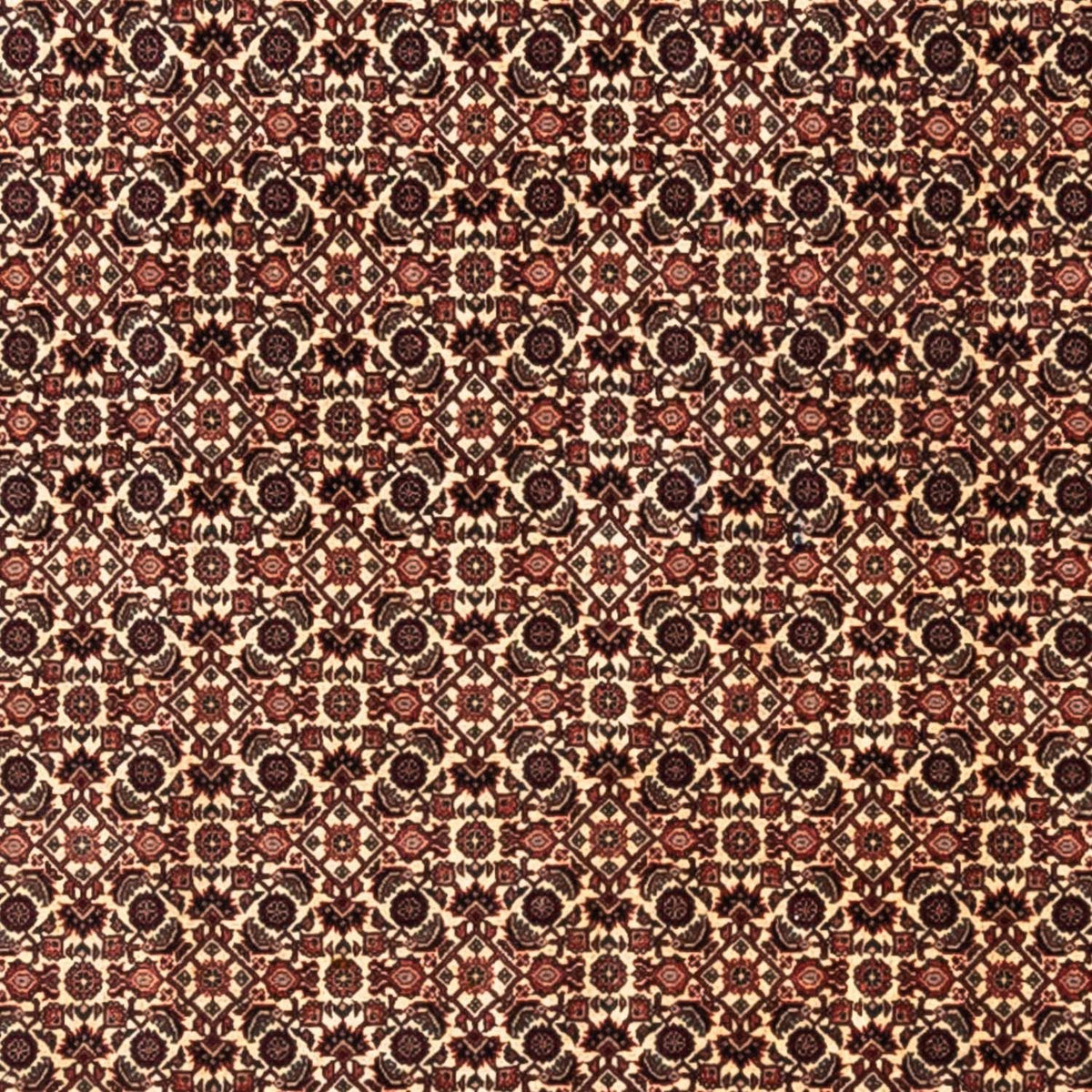 Perser Rug - Bidjar - 287 x 208 cm - beige