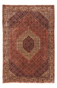 Bidjar - Takab Rug 291x202cm - Persian Rugs