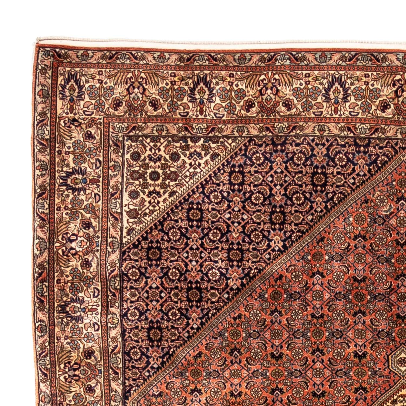 Bidjar - Takab Rug 291x202cm - Persian Rugs